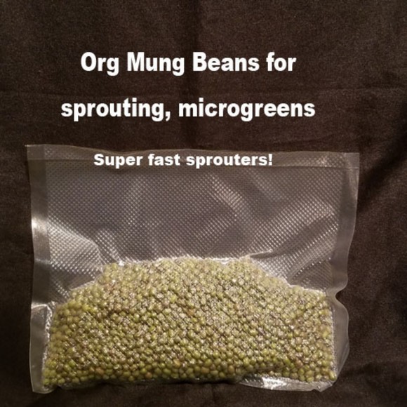 Organic Mung Beans for sprouting, microgreens 5oz over 2k seeds - Picture 1 of 6
